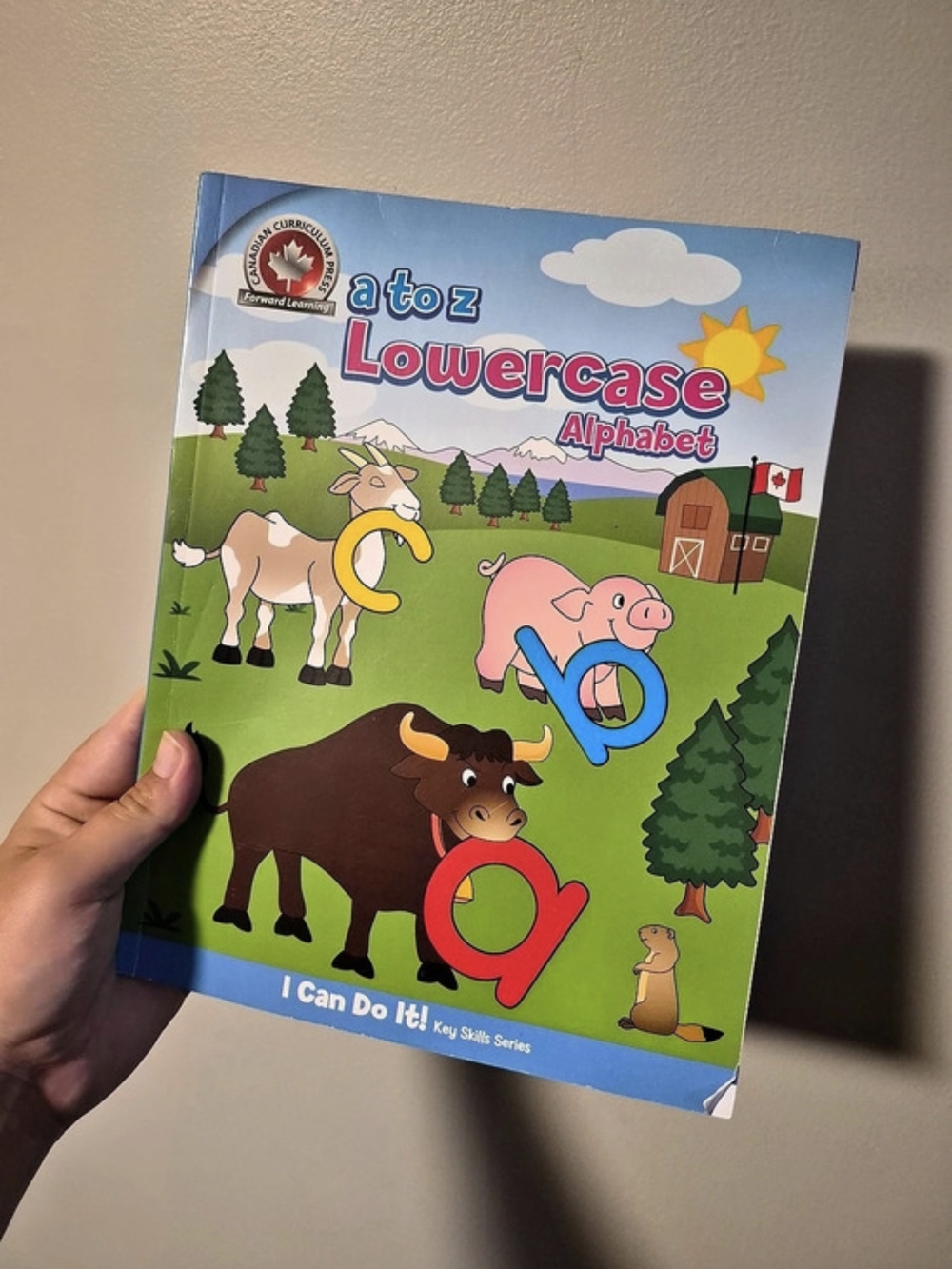 I Can Do It! A to Z Lowercase Alphabet! Alphabet Learning Book